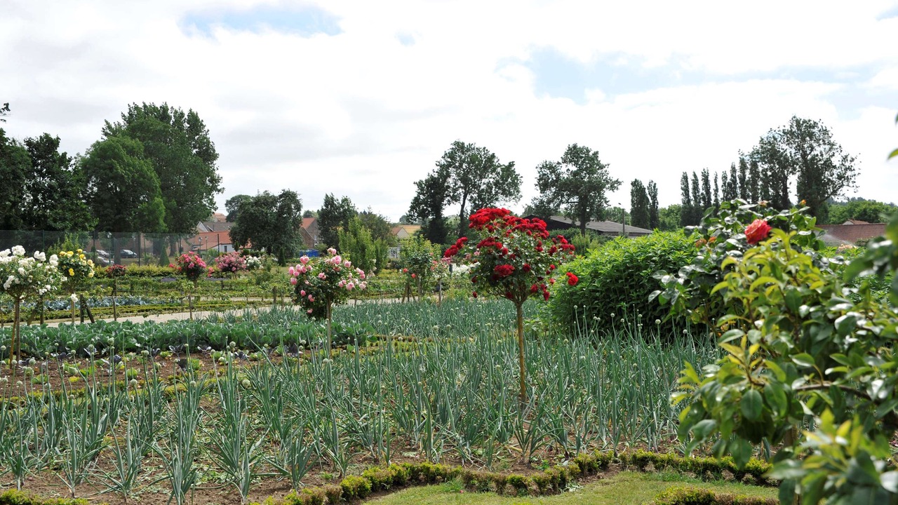 Photo of Outdoor in Gosnay