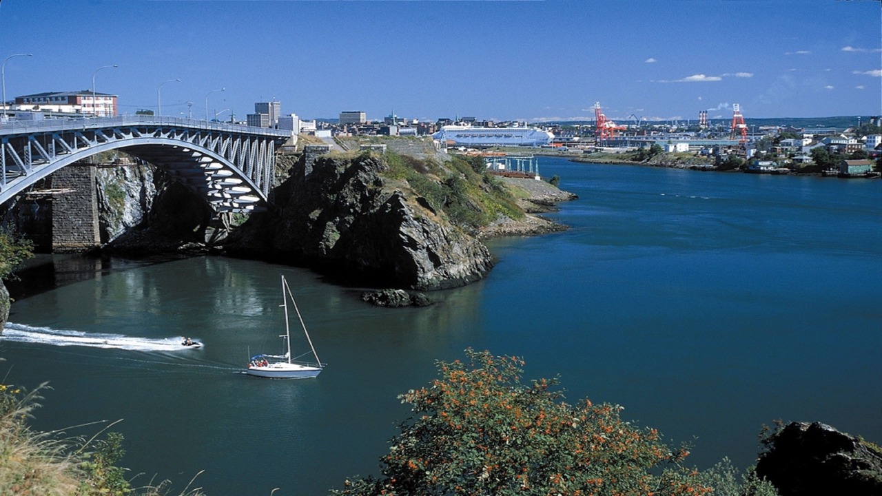 Photo of Others in Saint John