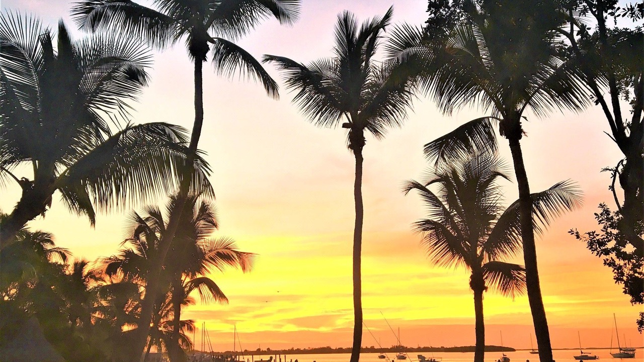 Photo of Outdoor in Key Largo