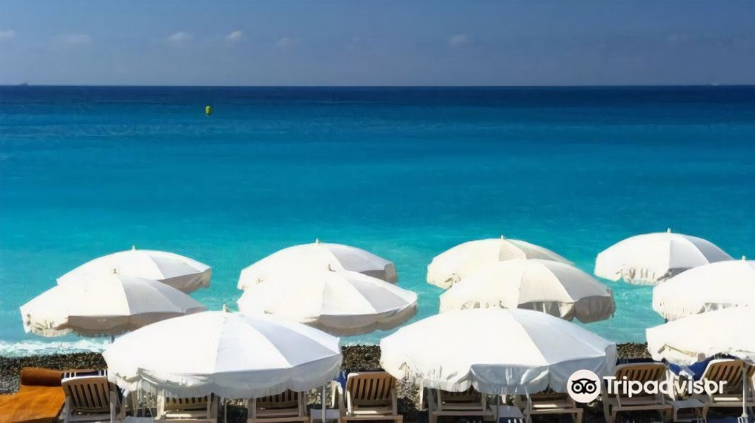 Photo of Others in Vernier