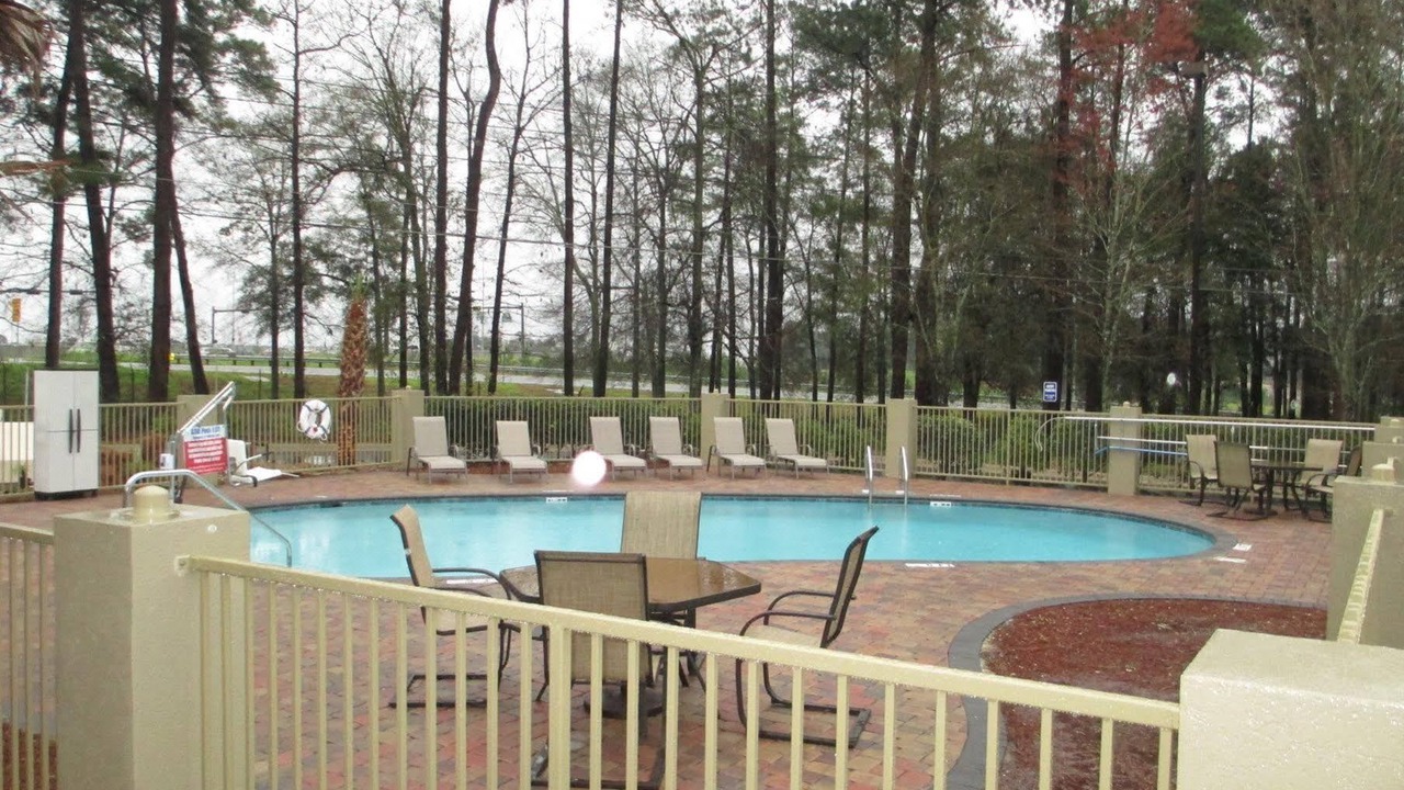 Photo of Others in Tallahassee