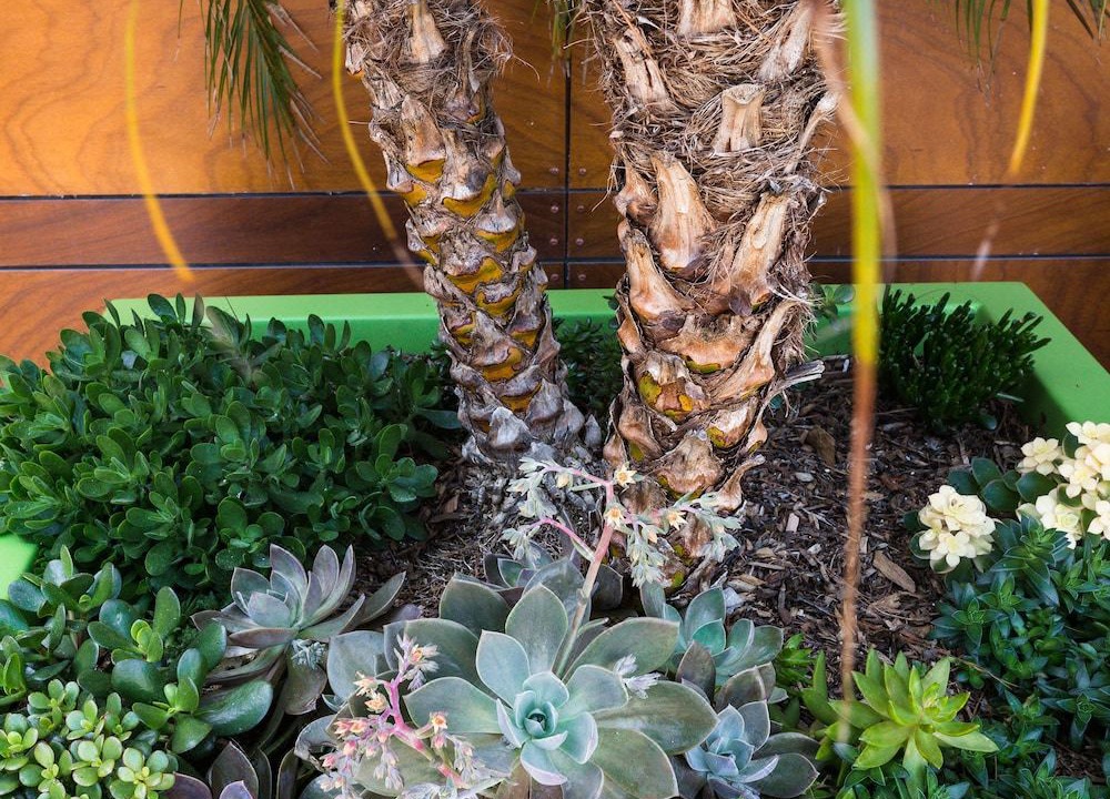 Photo of Others in Downtown