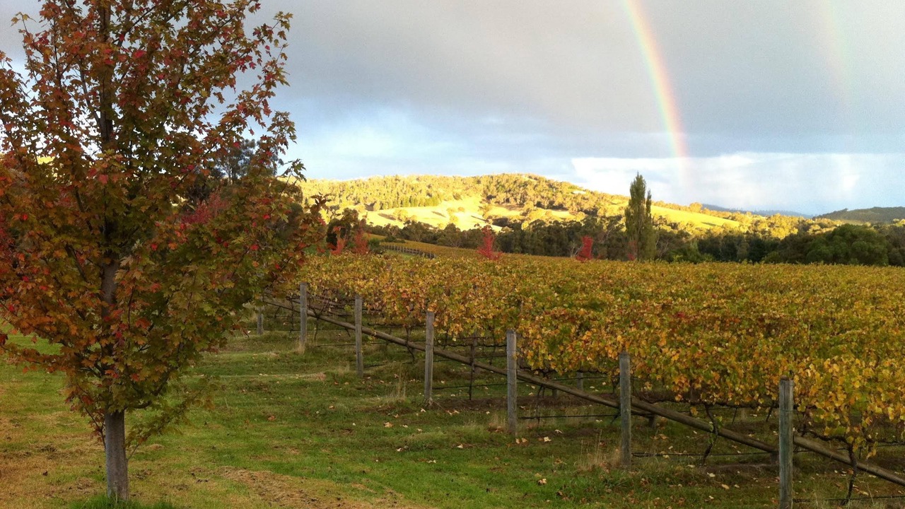 Photo of Others in Clayton