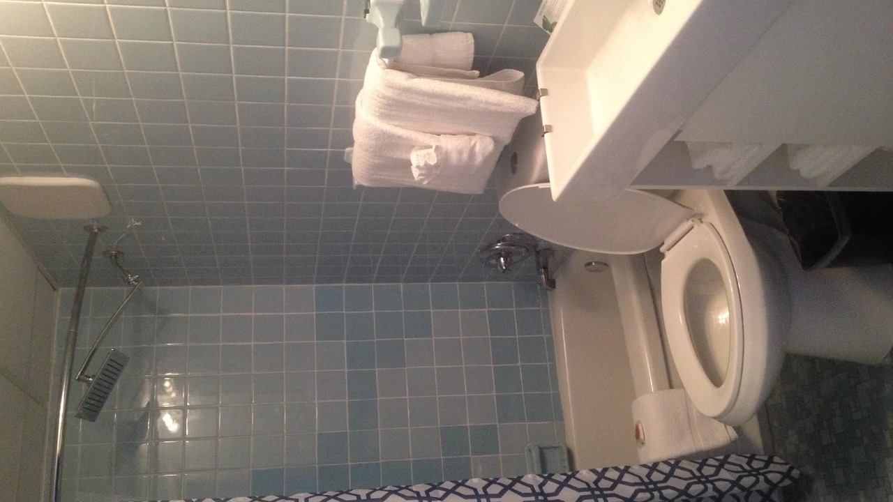Photo of Bathroom in Royal Oak