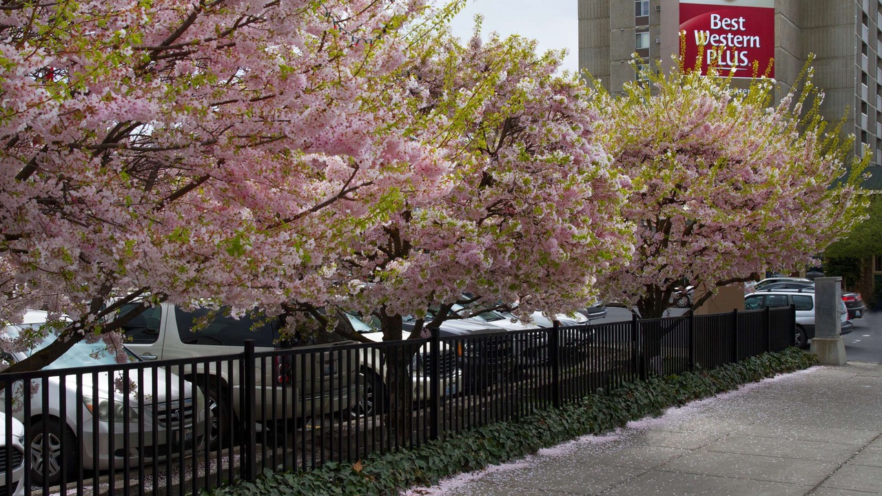 Photo of Buildings in Riverside