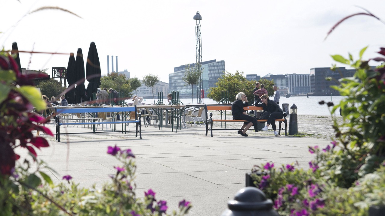 Photo of Others in Amager
