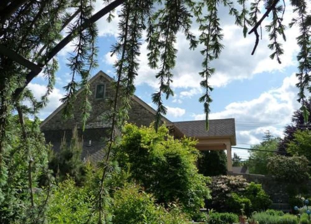 Photo of Others in Media