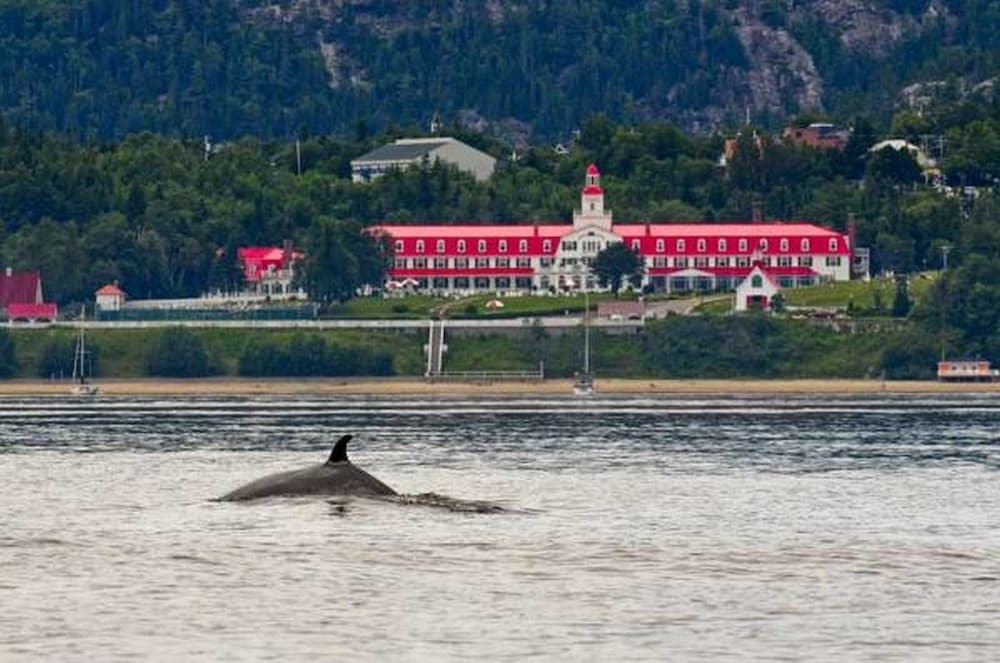Photo of Others in Tadoussac
