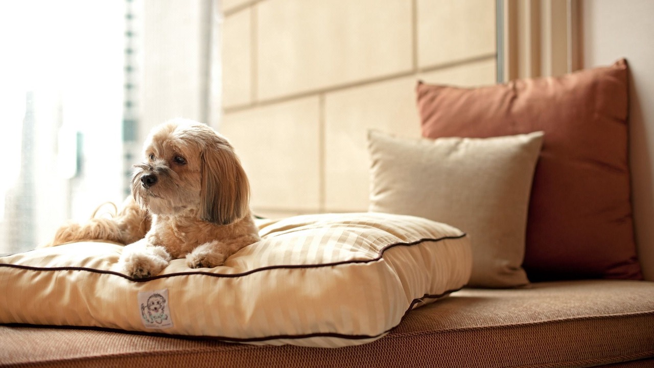 Photo of Others in Southeast Yonkers