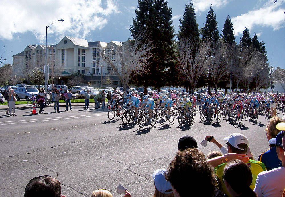 Photo of Others in Santa Rosa