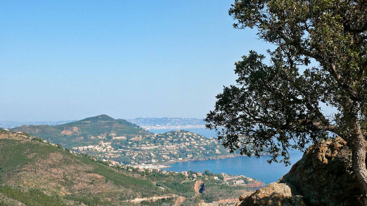 Photo of Others in Antibes