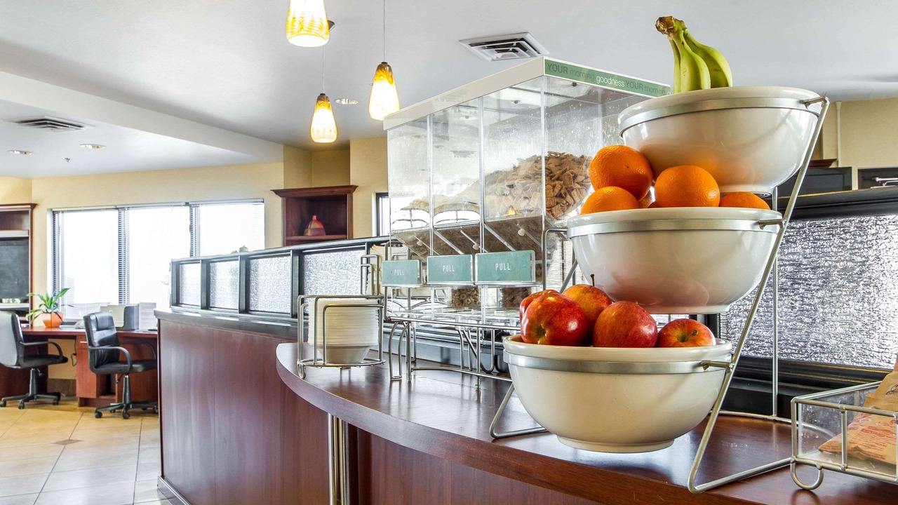 Photo of Others in Nut Tree