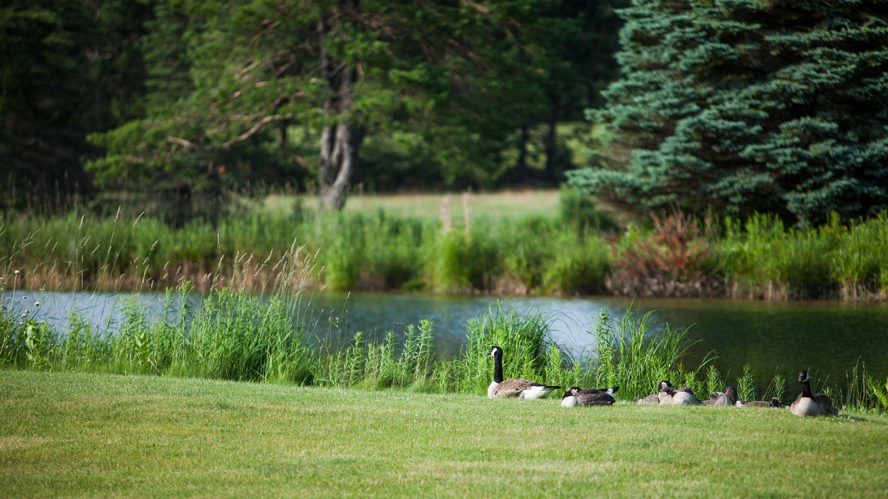Photo of Outdoor in Cadillac