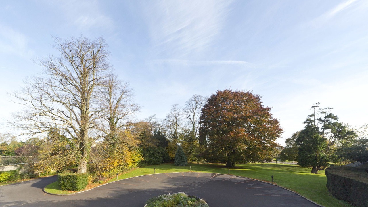 Photo of Others in Bradford-on-Avon