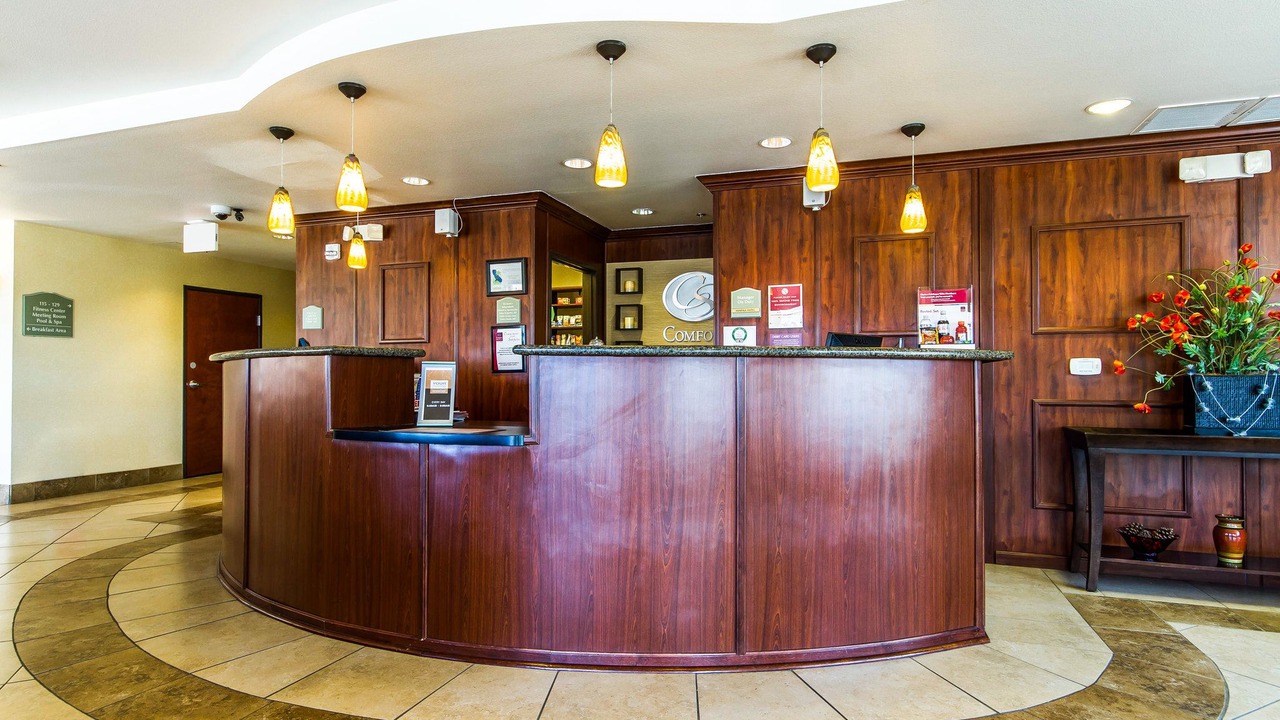 Photo of Others in Nut Tree