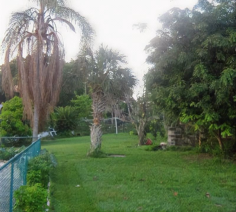 Photo of Others in Winter Haven