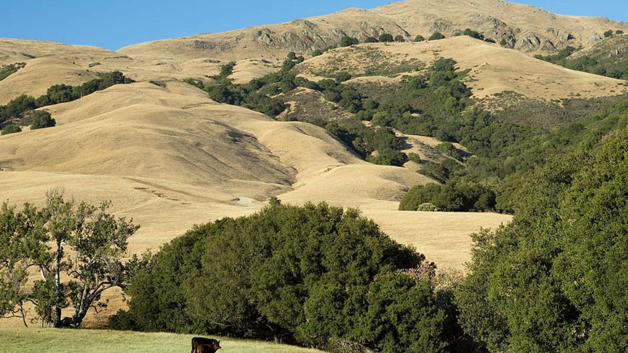 Photo of Outdoor in Fremont