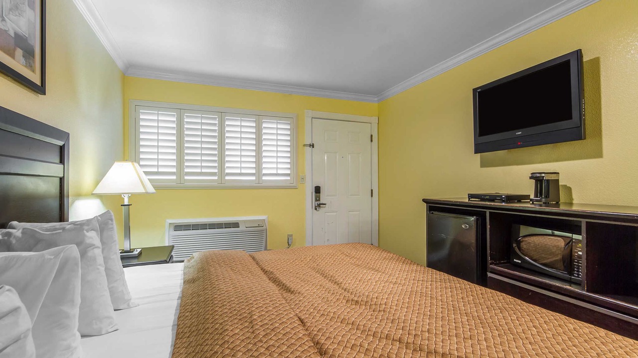 Photo of Others in Central Berkeley