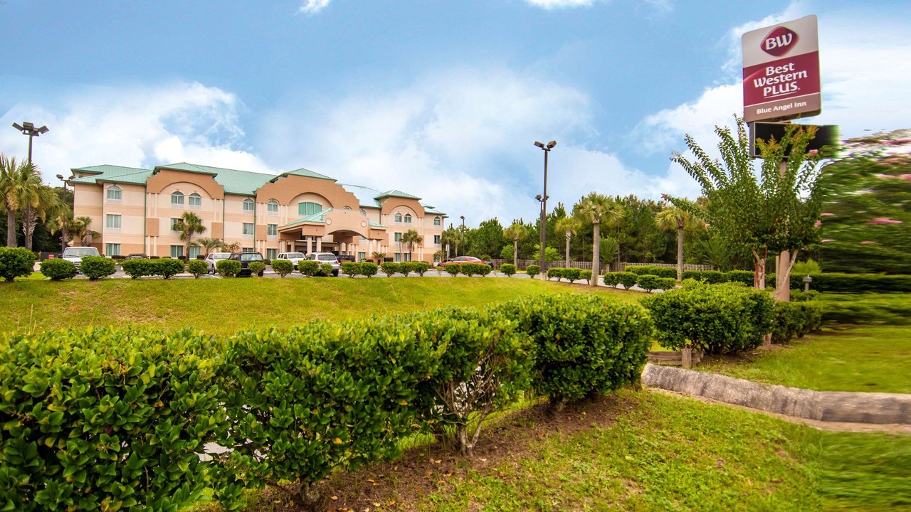 Photo of Buildings in Pine Forest