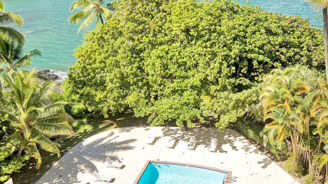 Photo of Outdoor in Hilo