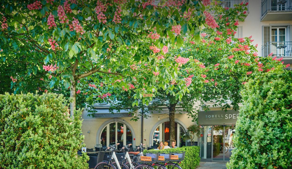 Photo of Buildings in Rapperswil