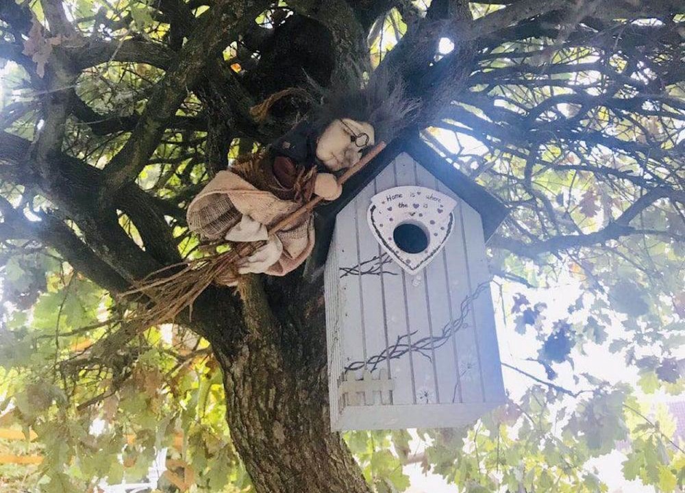 Photo of Buildings in Gries