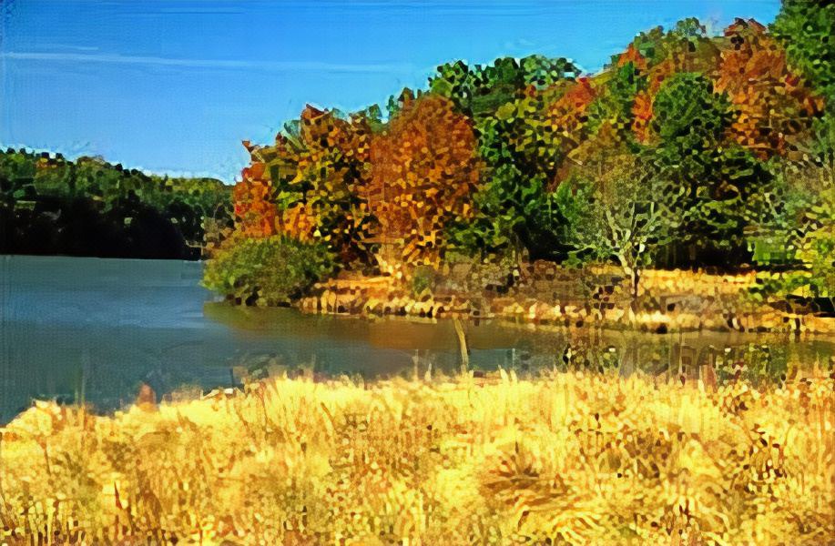 Photo of Outdoor in Braselton