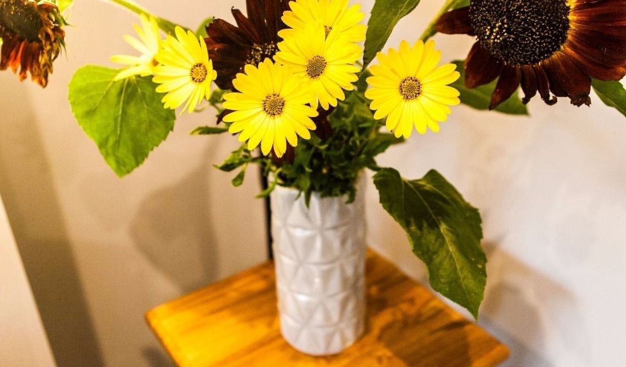 Photo of Livingroom in Little Holland