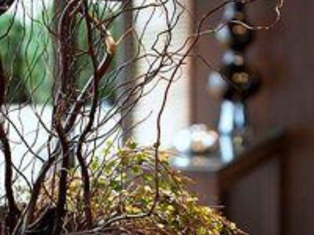 Photo of Others in Bercy