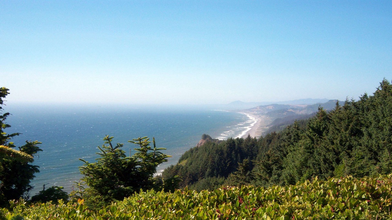 Photo of Outdoor in Gold Beach