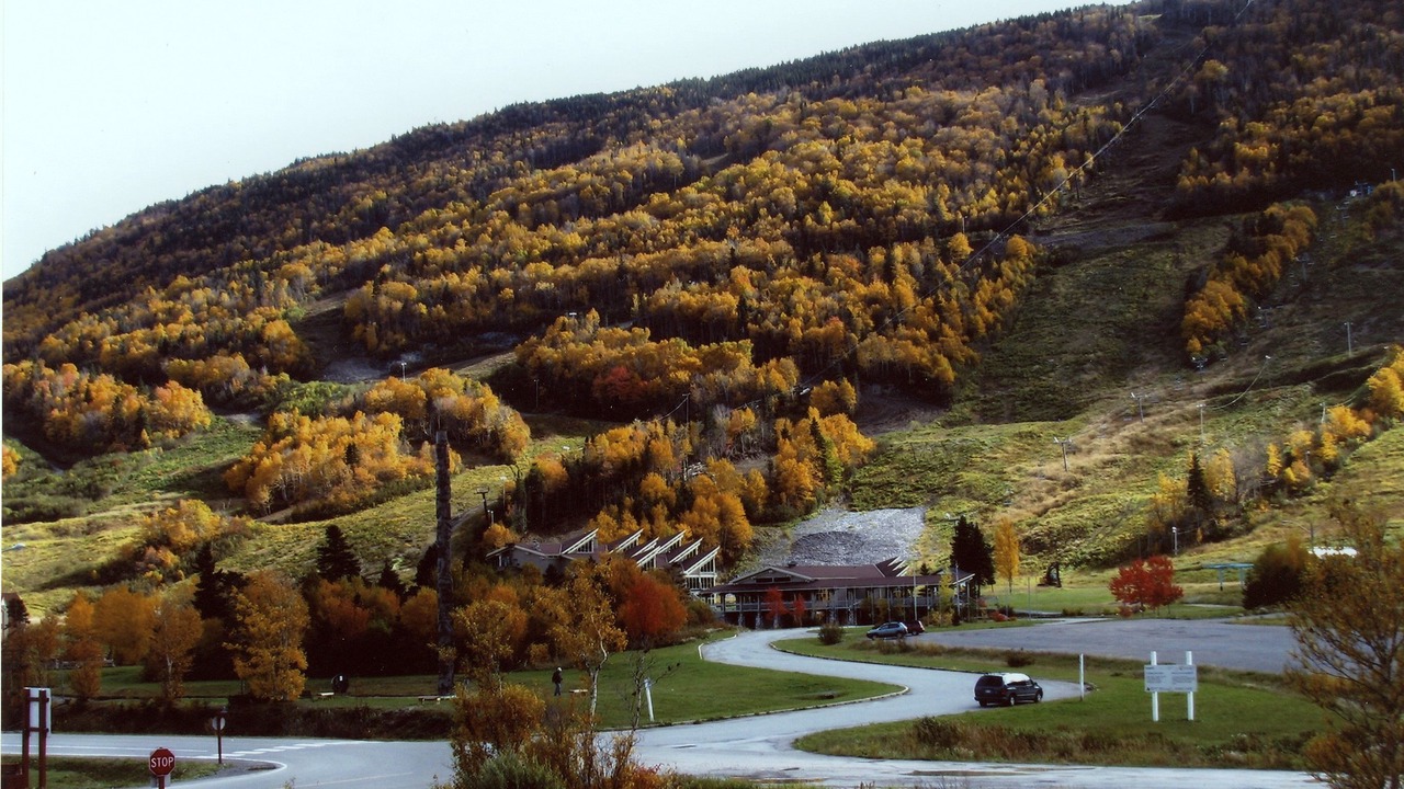 Photo of Outdoor in Corner Brook