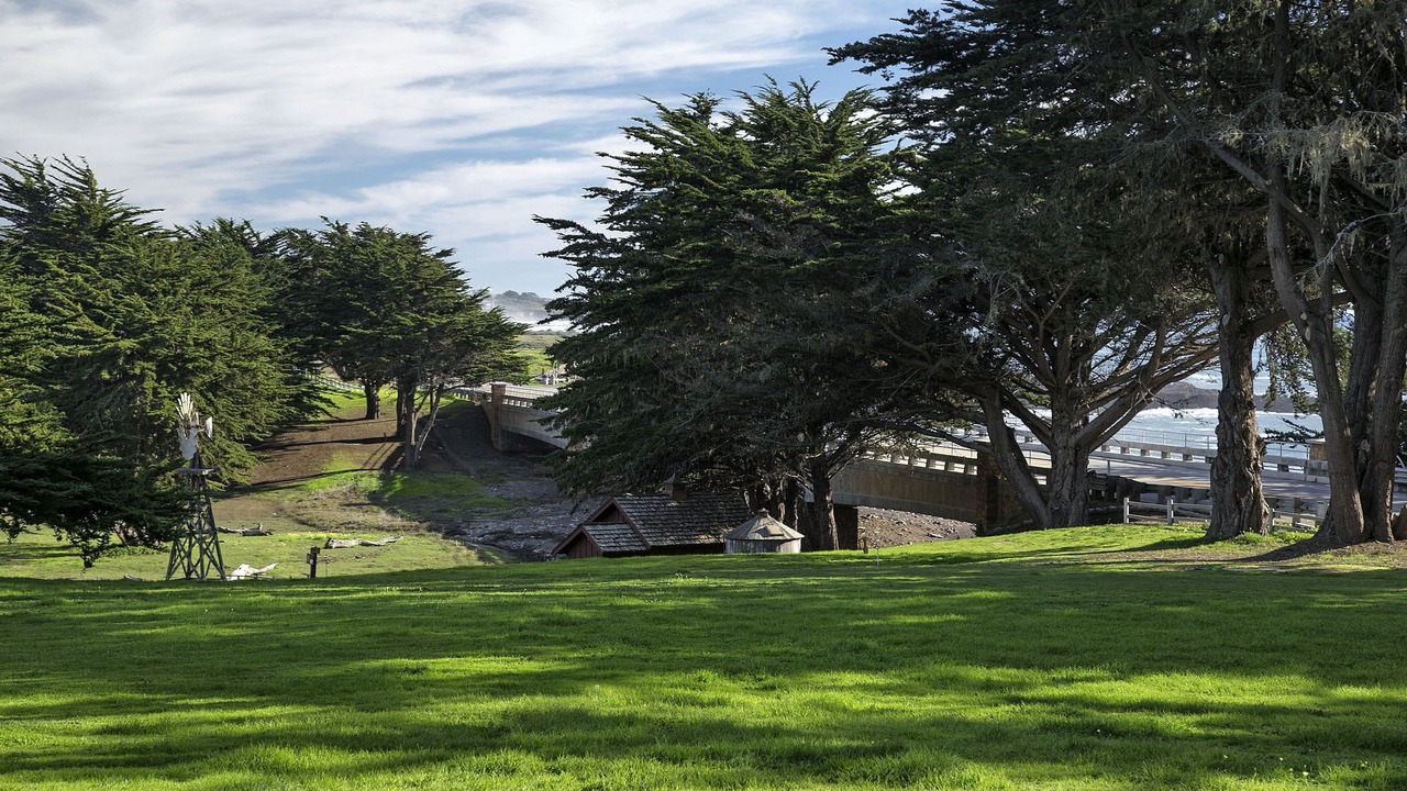 Photo of Others in San Simeon