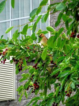 Photo of Others in Fredericton