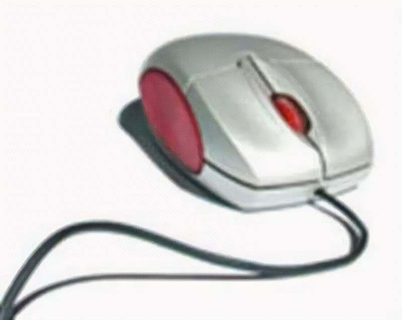 Photo of Others in Hyannis