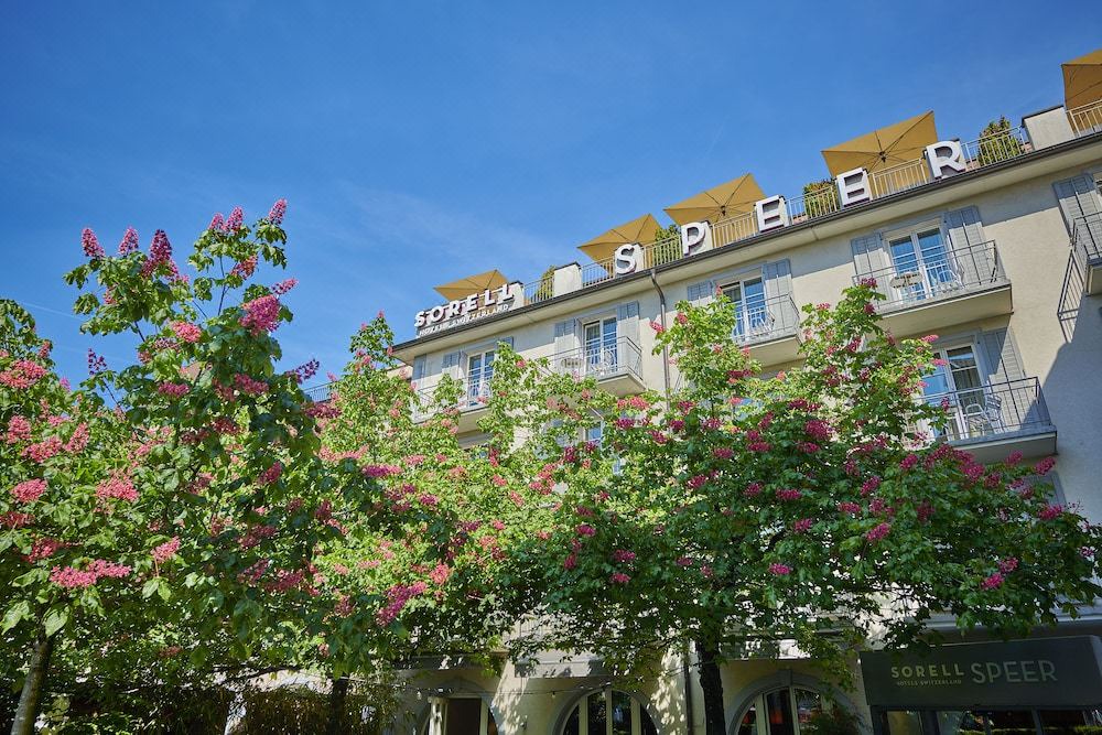 Photo of Others in Rapperswil