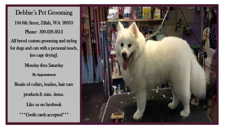 Photo of Others in Zillah