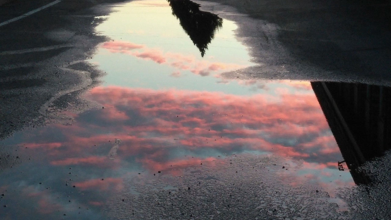 Photo of Outdoor in Bellevue