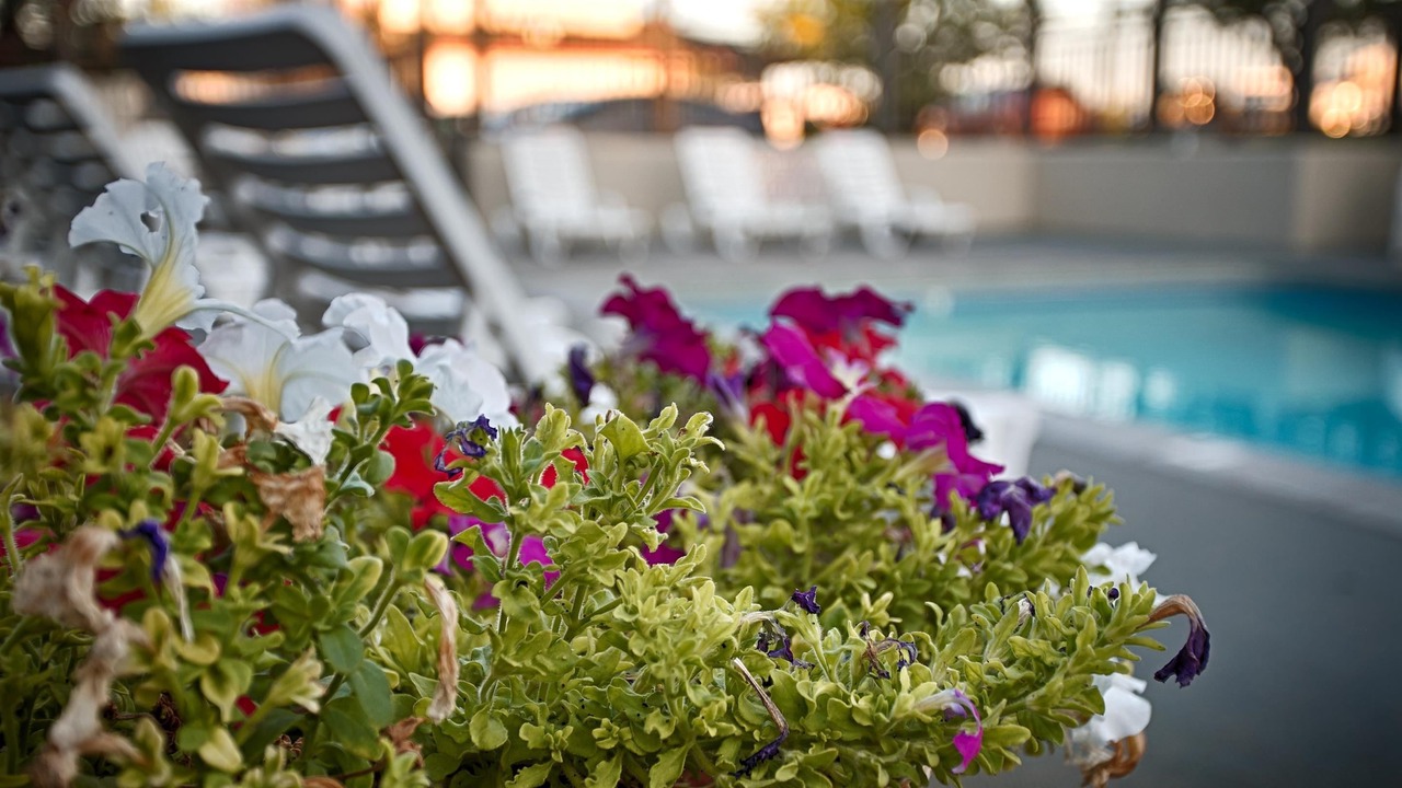 Photo of Outdoor in Boise