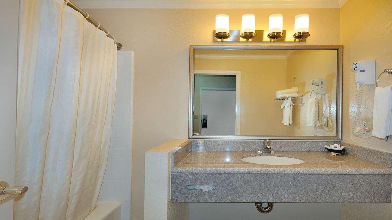 Photo of Others in Snail