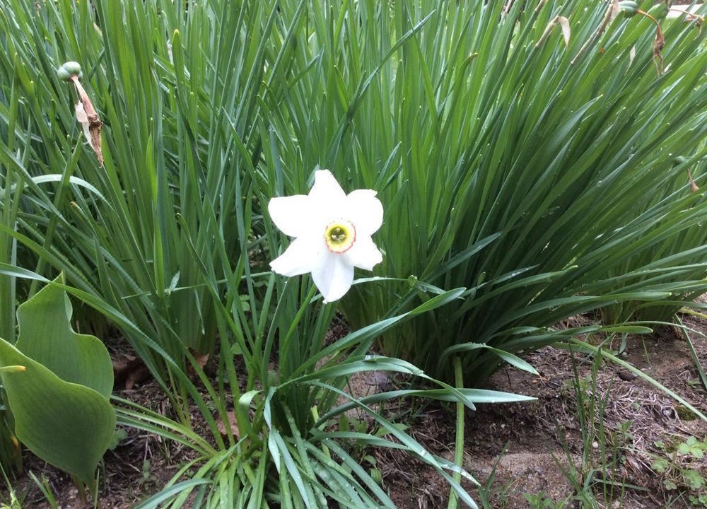 Photo of Others in Stoneham