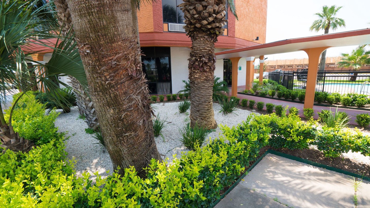 Photo of Buildings in Pasadena