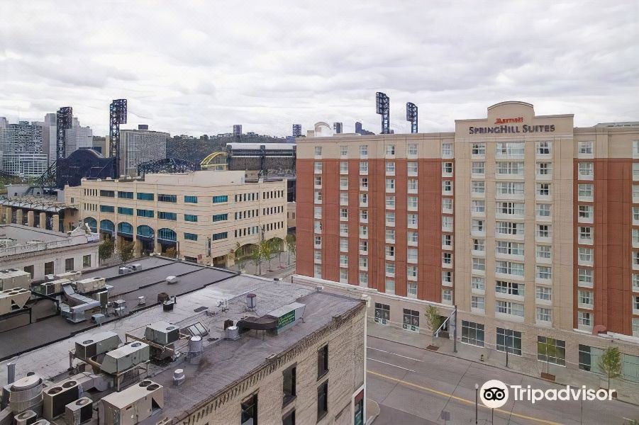 Photo of Buildings in North Shore