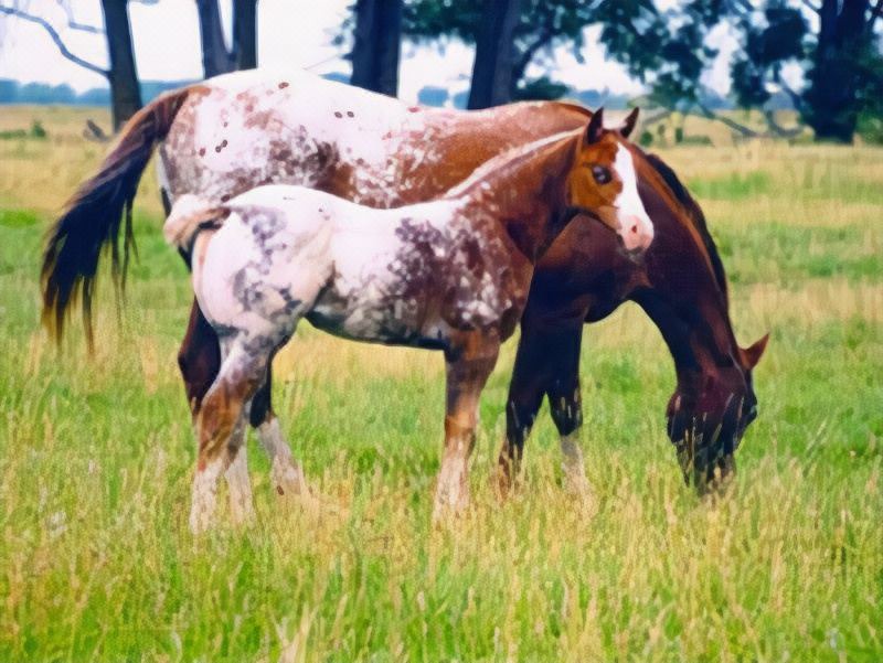 Photo of Human In Picture in Moscow