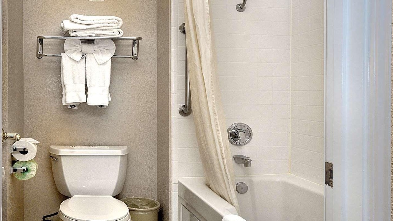 Photo of Bathroom in Snail