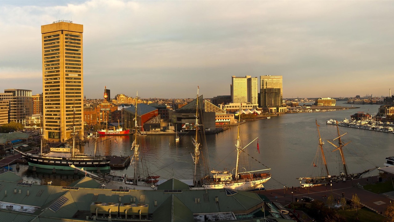 Photo of Others in Downtown West