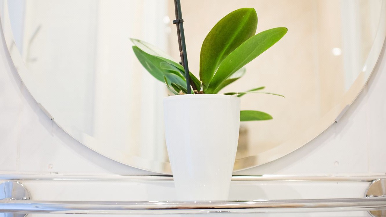 Photo of Others in Newington