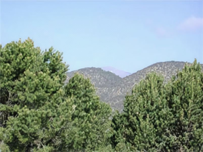 Photo of Outdoor in Ruidoso Downs