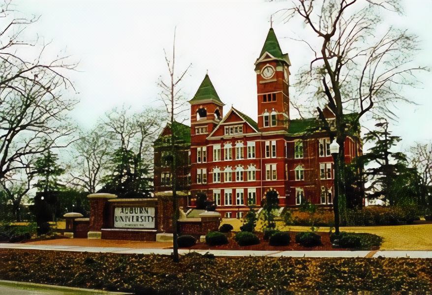 Photo of Buildings in Opelika