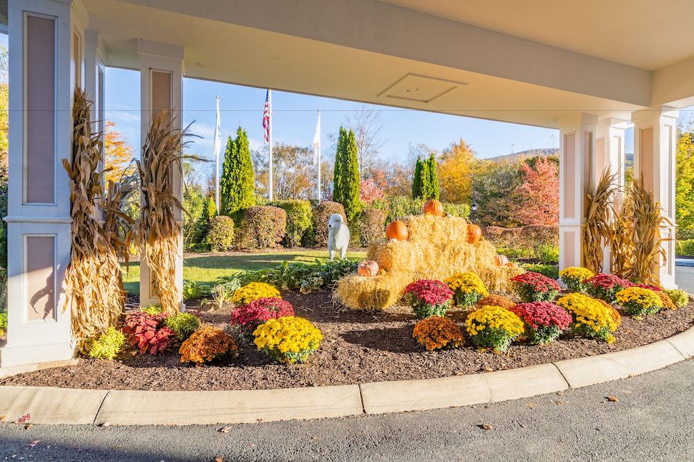 Photo of Others in Williamstown