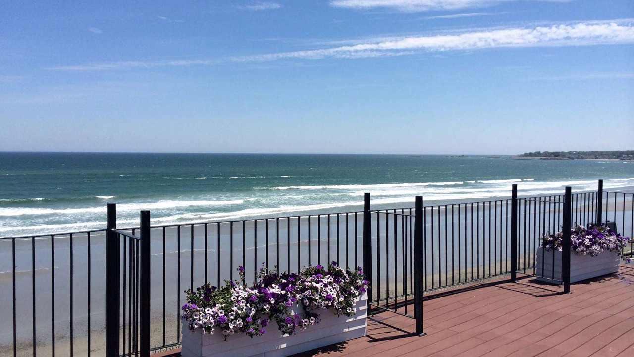 Photo of Others in Hull